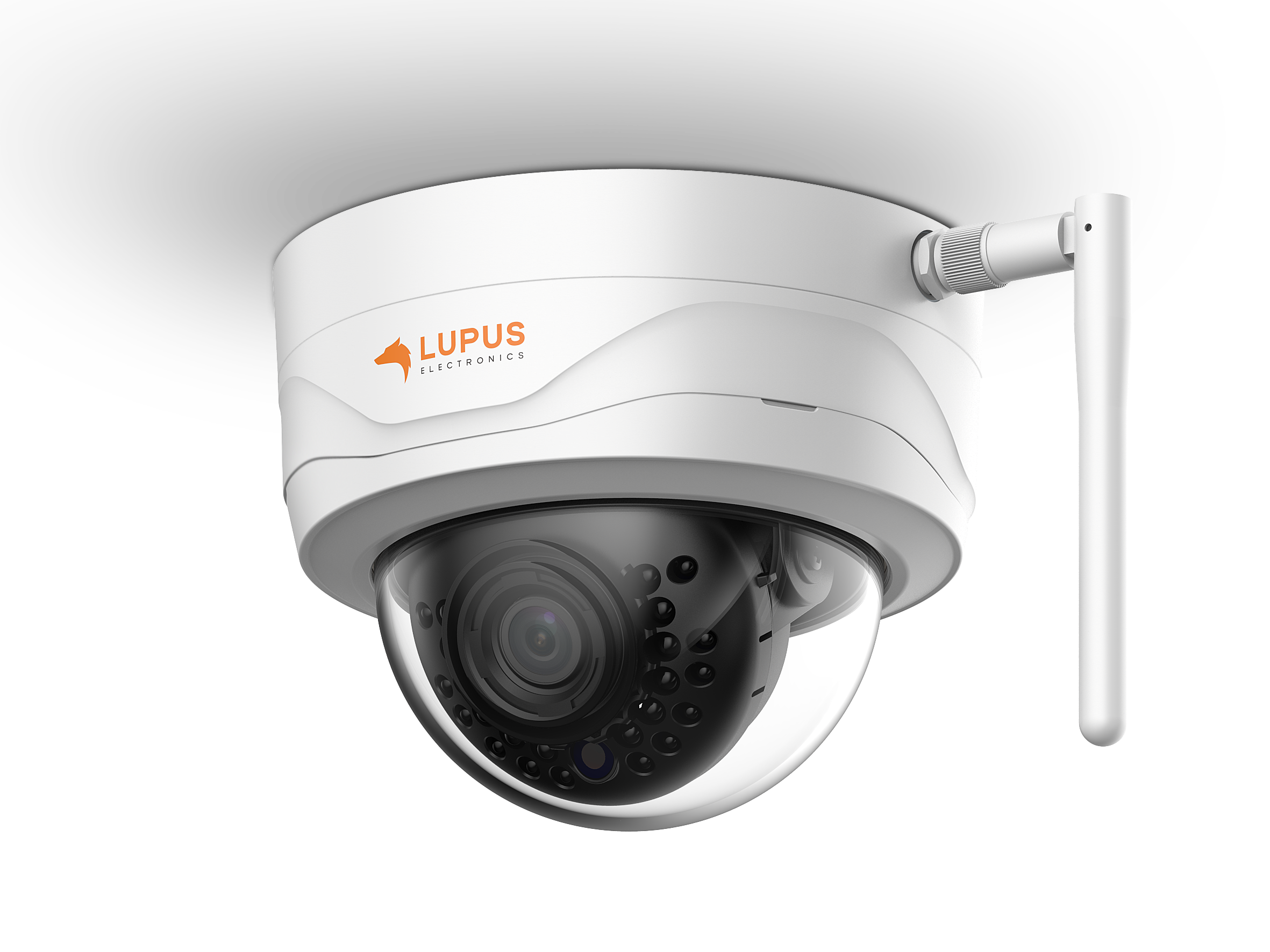 LUPUSNET - LE204